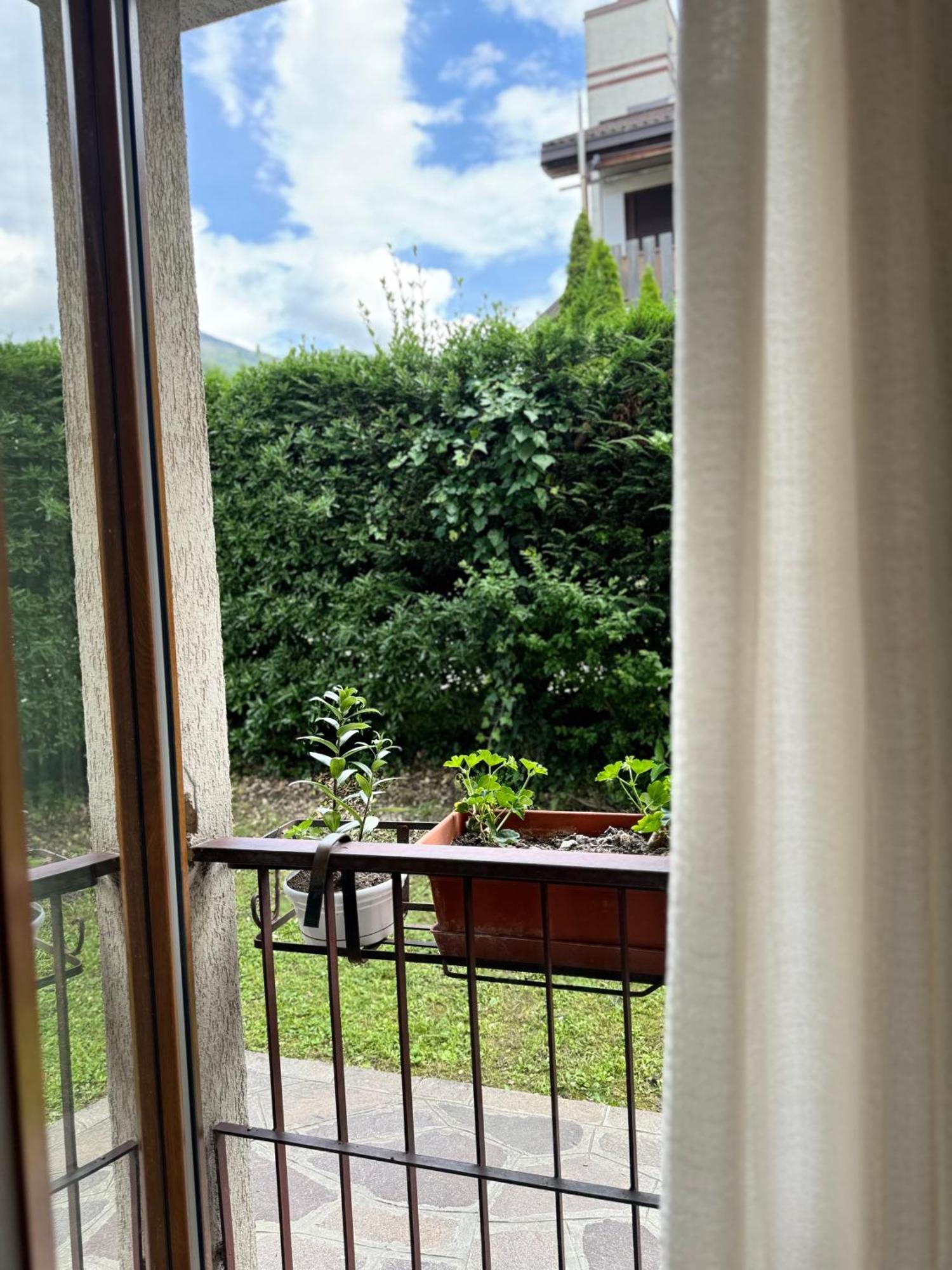 Green House Next - Lovely Apartment For Family And Free Parking Levico Terme Exteriér fotografie
